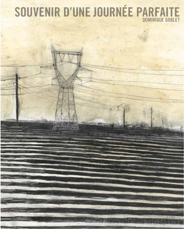 jaquette livre Souvenir D'une Journée Parfaite