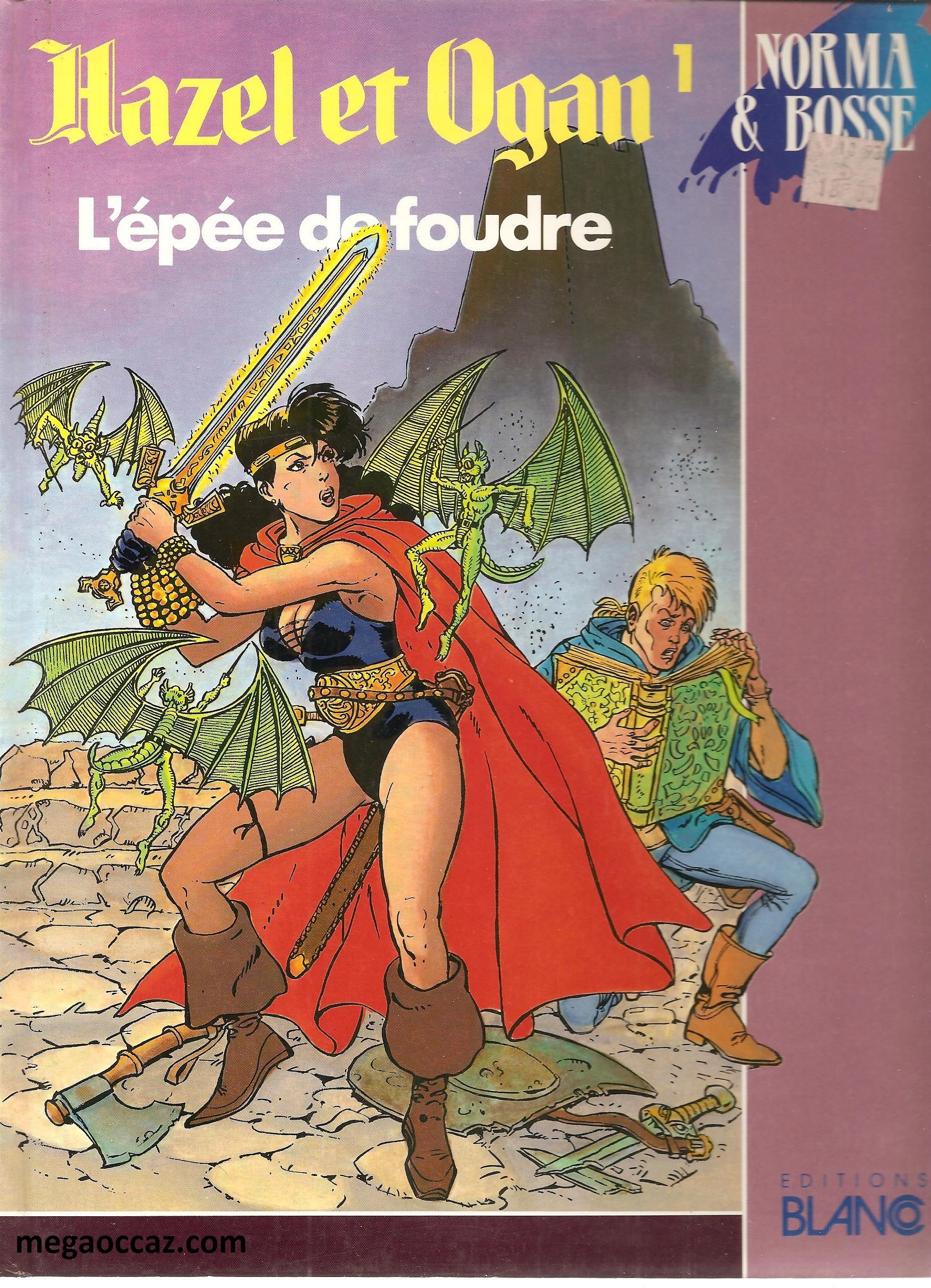 jaquette livre L'Epée de foudre