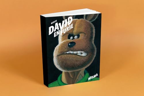 jaquette livre David En Furie