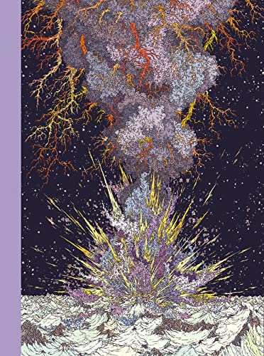 jaquette livre L'année De La Comète