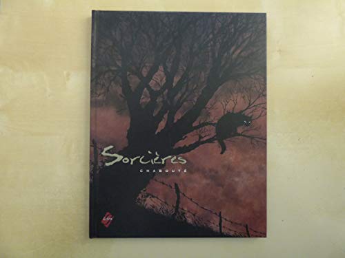 jaquette livre Sorcières