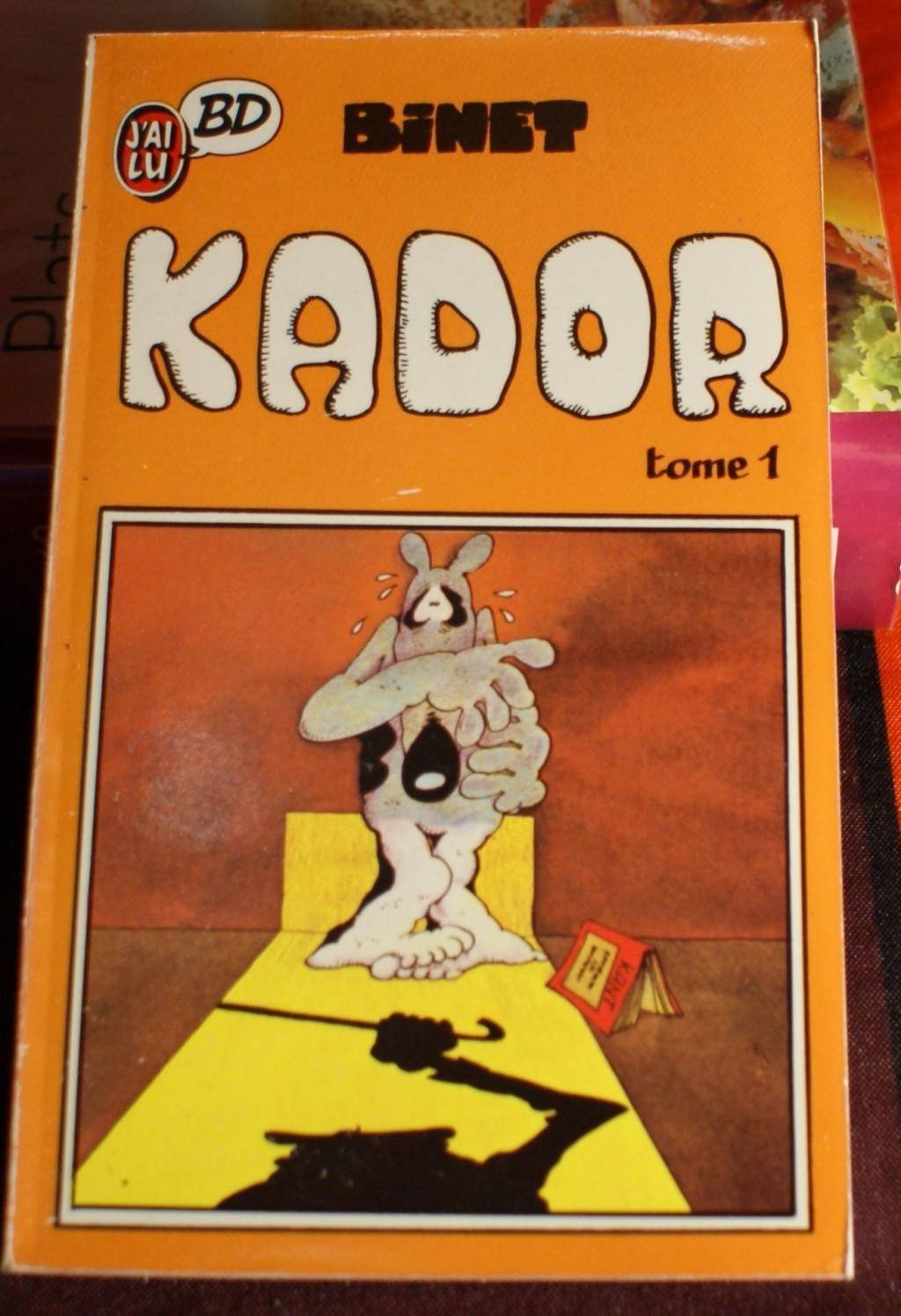 jaquette livre Kador