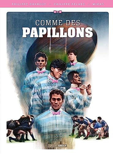 jaquette livre Comme Des Papillons