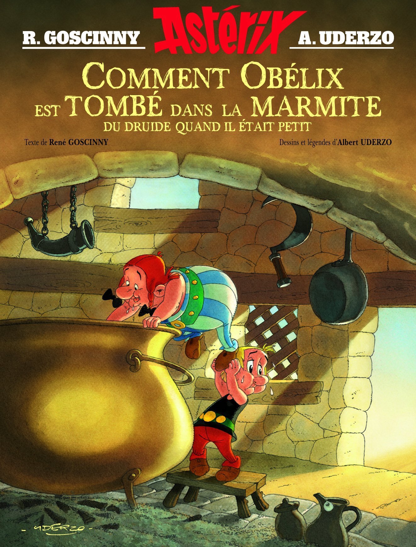 jaquette livre Comment Obélix est tombé dans la marmite du druide quand il était petit