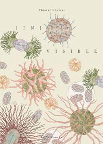 jaquette livre In Visibles
