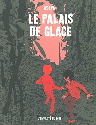 jaquette livre Le Palais De Glace
