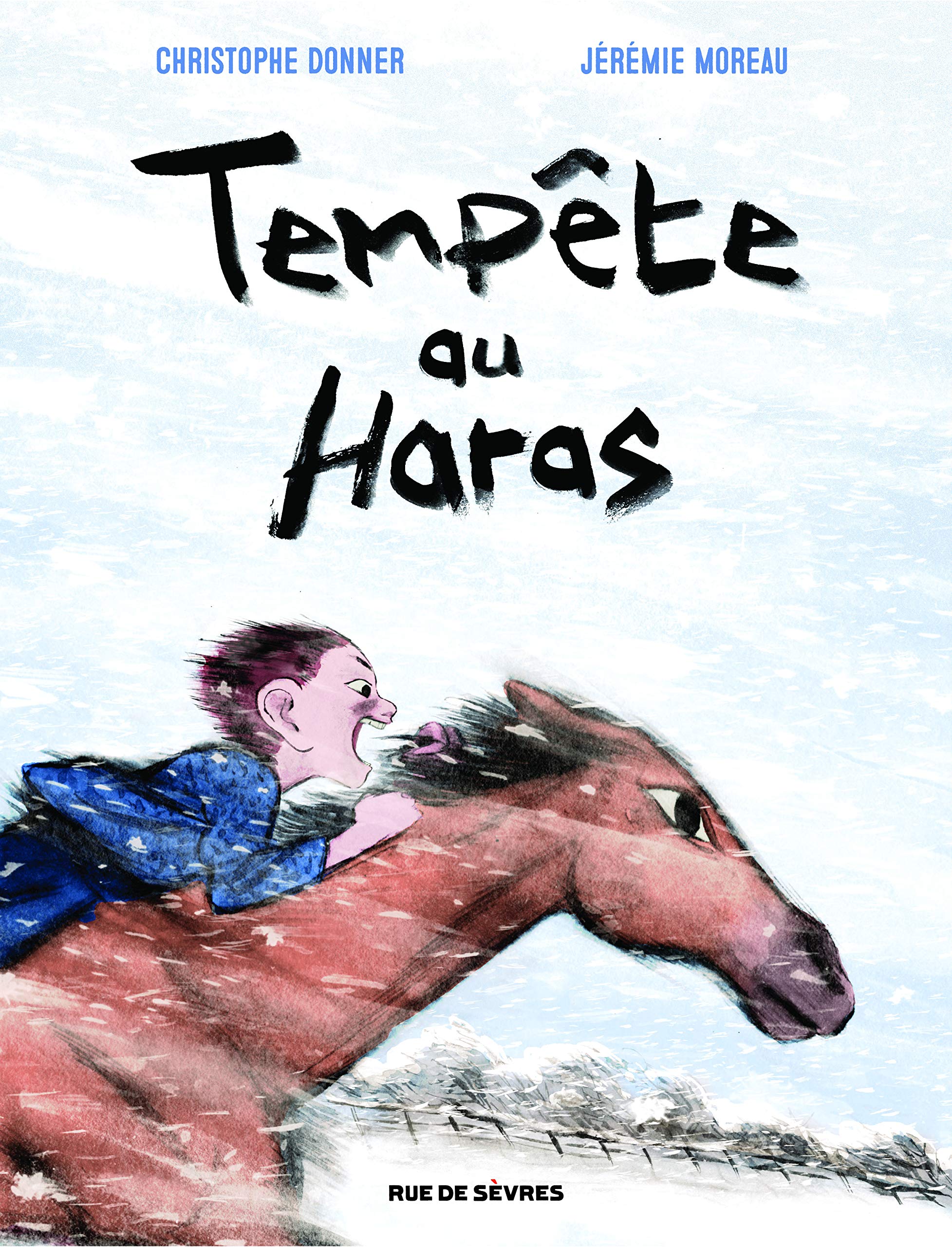 jaquette livre Tempête au haras
