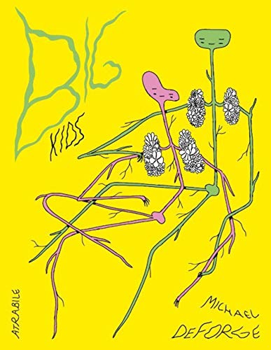 jaquette livre Big Kids