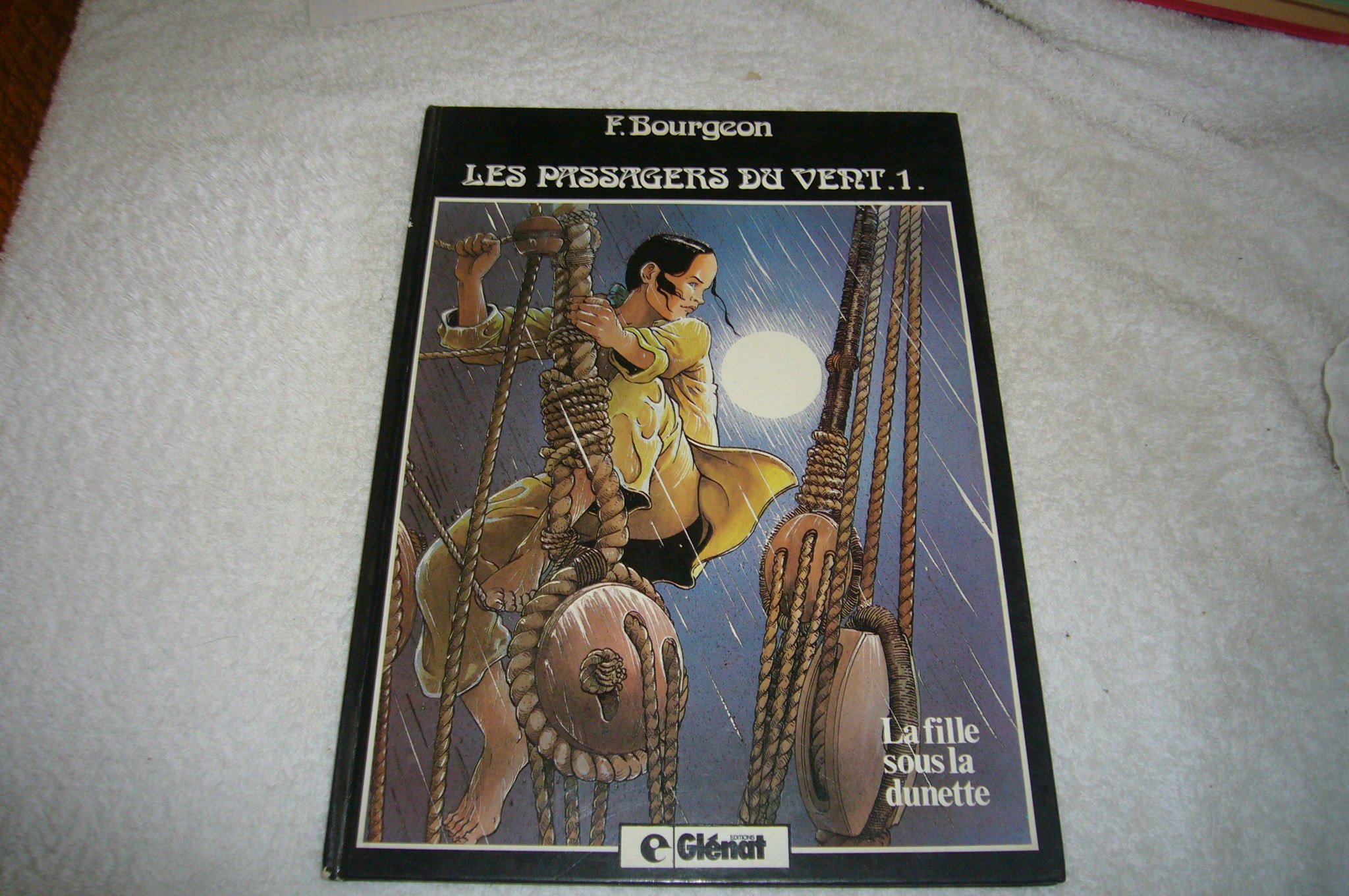 jaquette livre PASSAGERS DU VENT T01