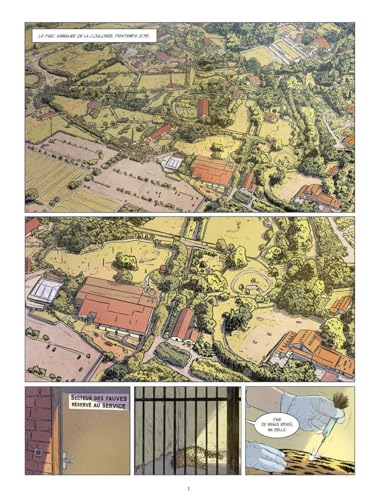 jaquette livre Sauvage(S)