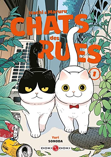 jaquette livre Hachi et Maruru - Chats des rues - Tome 1