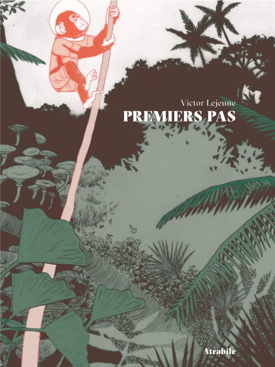 jaquette livre Premiers Pas