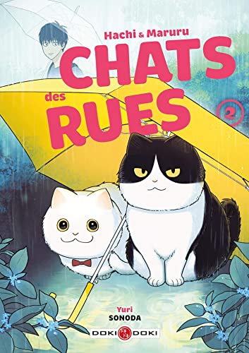 jaquette livre Hachi et Maruru - Chats des rues - Tome 2