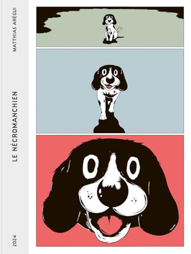 jaquette livre Le Nécromanchien