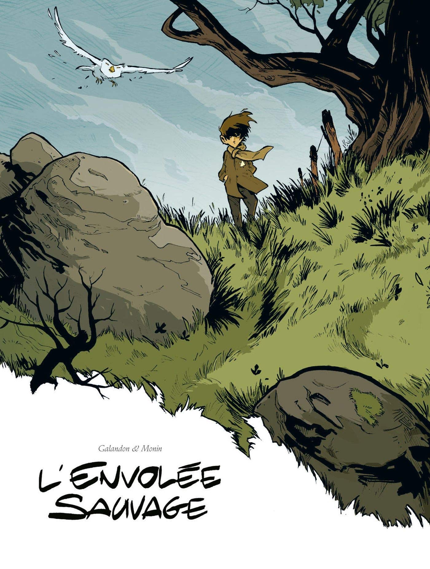 jaquette livre L'envolée sauvage, Tome 1 : La Dame Blanche