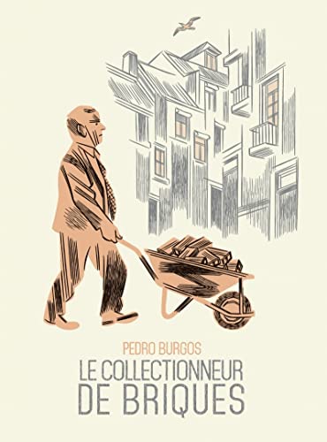 jaquette livre Le Collectionneur De Briques