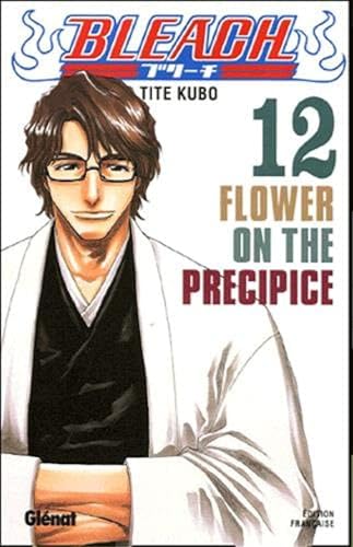 jaquette livre Bleach - Tome 12 : lower on the precipice