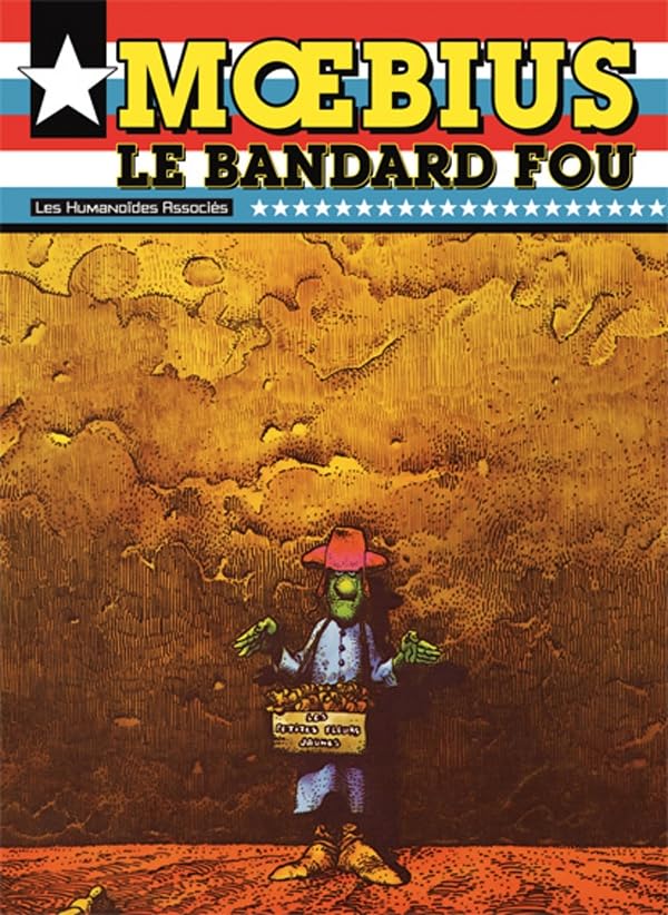jaquette livre Le Bandard Fou