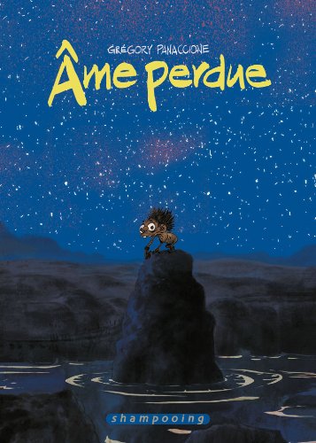 jaquette livre Ame Perdue
