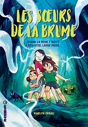 jaquette livre Les Soeurs De La Brume