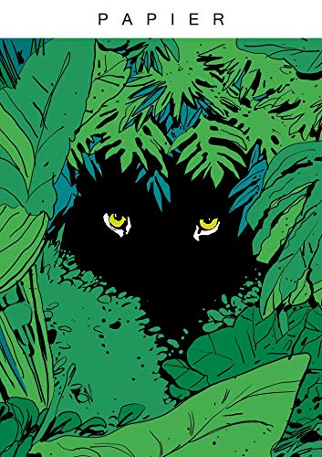 jaquette livre Papier N° 1