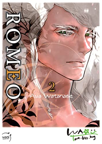 jaquette livre DSP Romeo - Tome 2