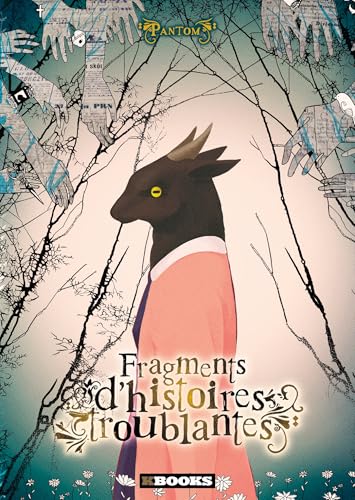 jaquette livre Fragments D'histoires Troublantes
