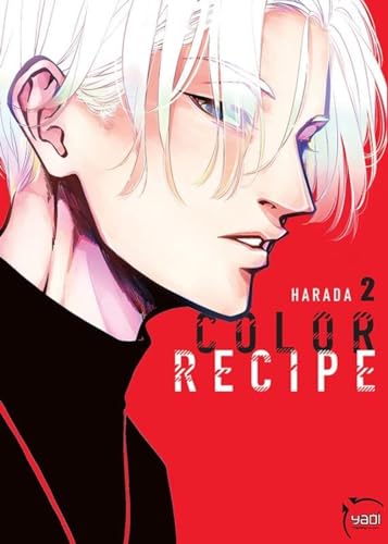 jaquette livre Color Recipe - Tome 2