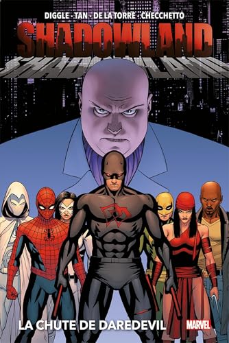 jaquette livre Shadowland - La Chute De Daredevil