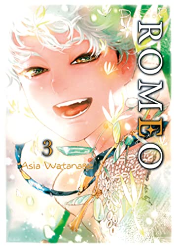jaquette livre DSP Romeo - Tome 3