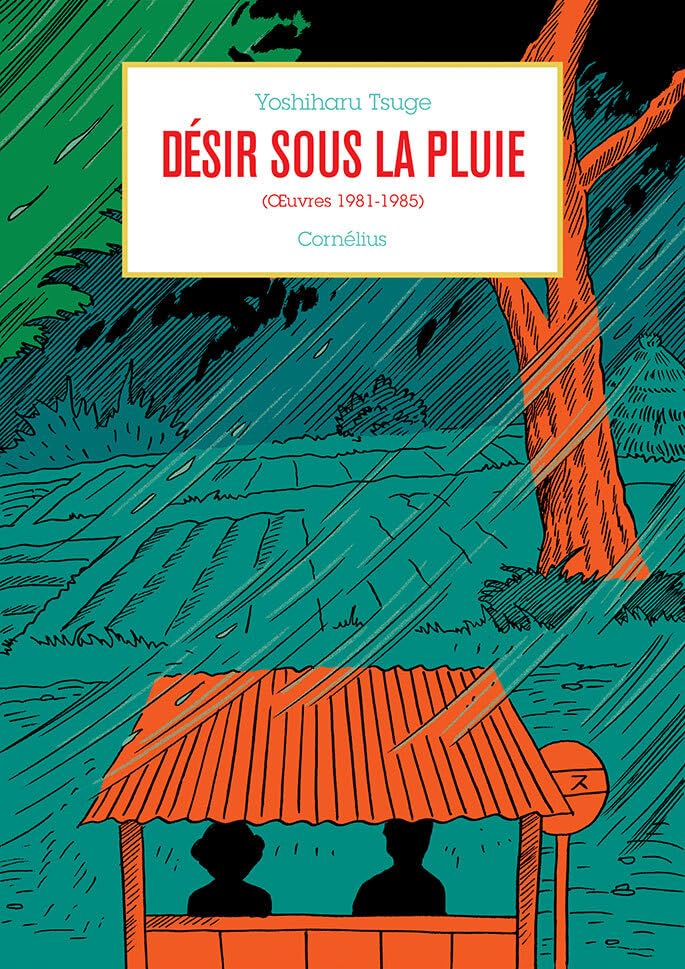 jaquette livre Désir sous la pluie