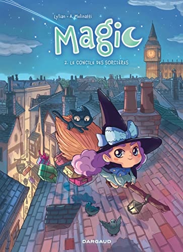 jaquette livre Magic Tome 2 - Le Concile Des Sorcières