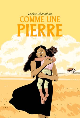 jaquette livre Comme Une Pierre