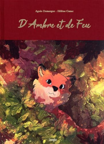 jaquette livre D'ambre Et De Feu