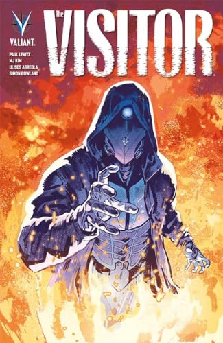 jaquette livre The Visitor