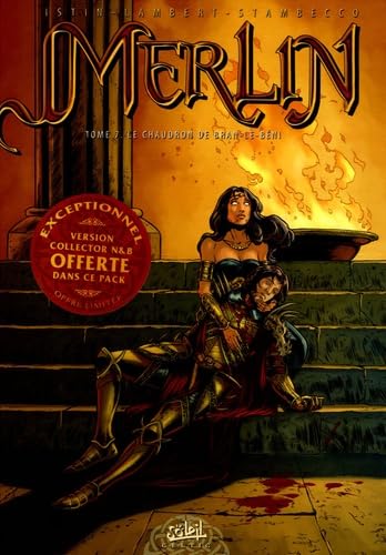 jaquette livre Merlin Tome 7 - Le Chaudron De Bran-Le-Béni - Avec La Version Collector N&b