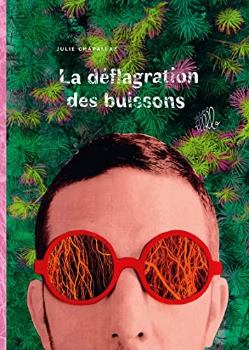 jaquette livre La Déflagration Des Buissons