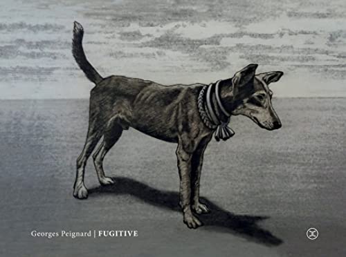 jaquette livre Fugitive