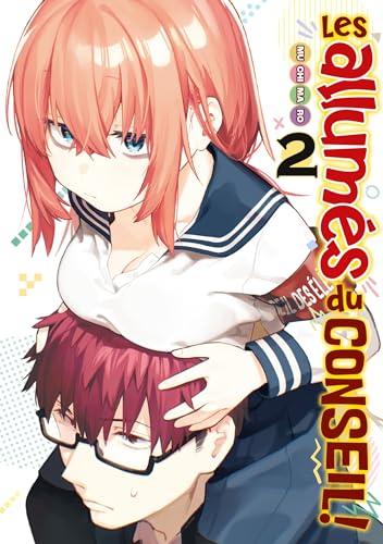 jaquette livre Allumés du conseil (les) - Tome 2