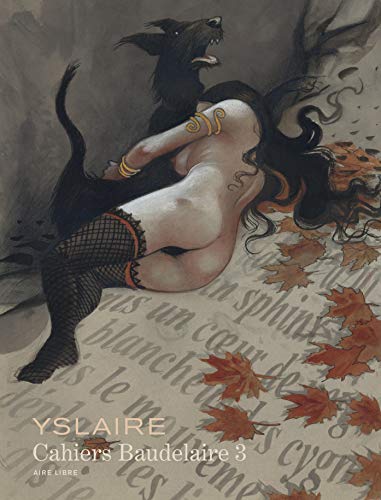 jaquette livre Cahiers Baudelaire Tome 3
