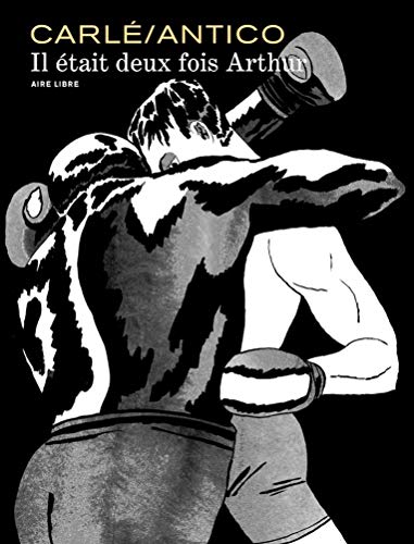 jaquette livre Il Était 2 Fois Arthur