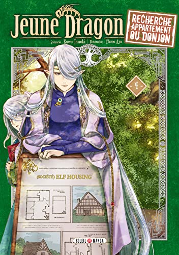 jaquette livre Jeune dragon recherche appartement ou donjon - Tome 4