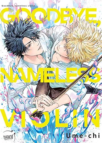 jaquette livre Goodbye Nameless Violin