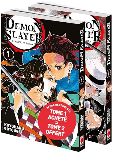 jaquette livre Demon Slayer Tomes 1 Et 2