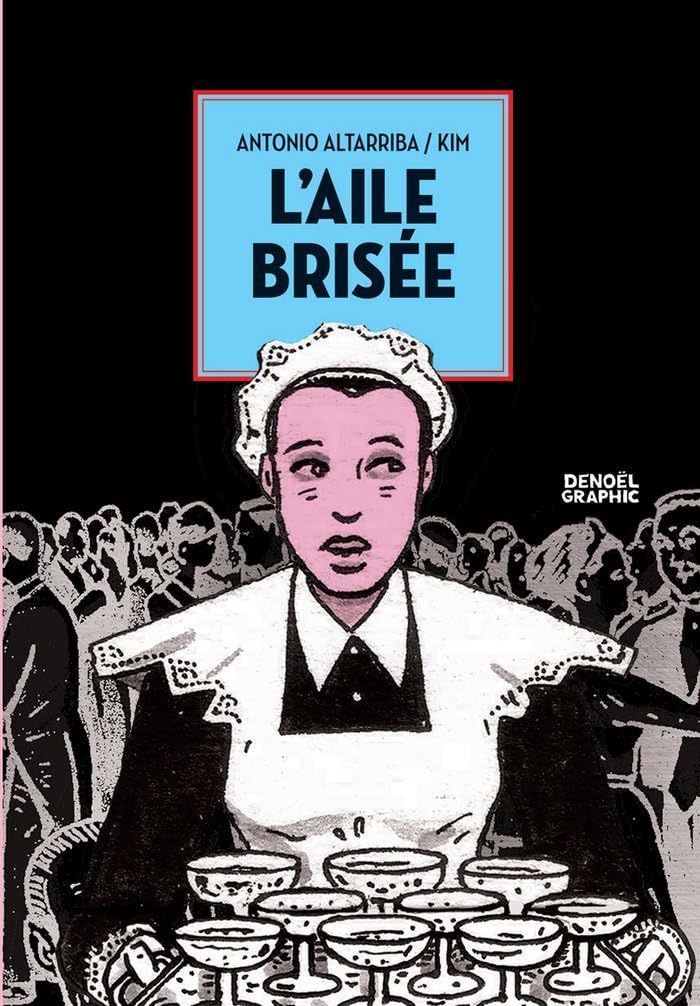 jaquette livre L'aile brisée