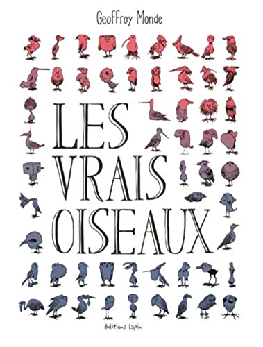 jaquette livre Les Vrais Oiseaux