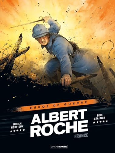 jaquette livre Albert Roche - France