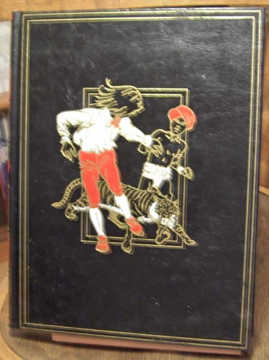 jaquette livre Corentin