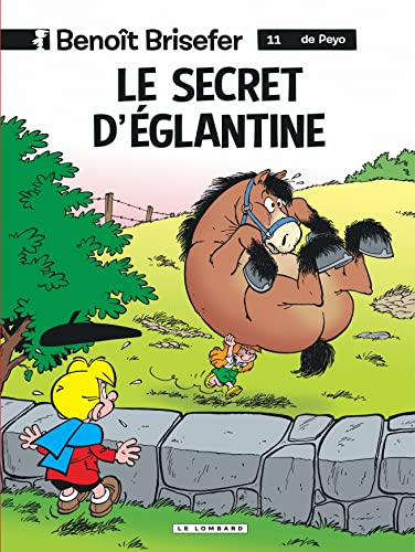 jaquette livre Benoit Brisefer 