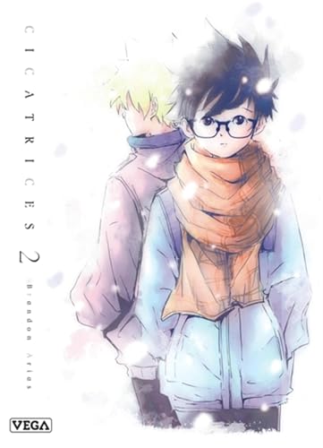 jaquette livre Cicatrices - Tome 2